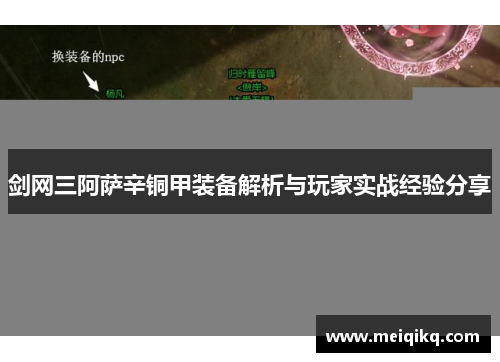 剑网三阿萨辛铜甲装备解析与玩家实战经验分享